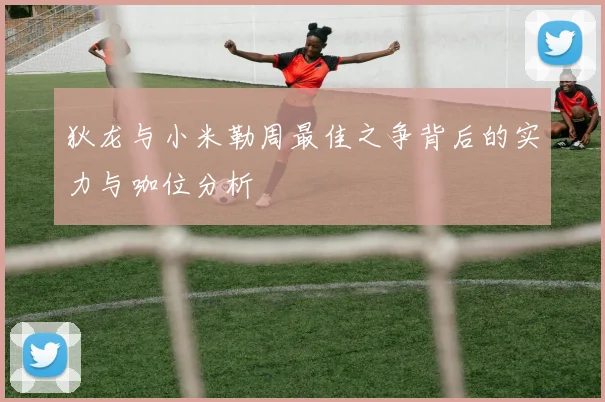 狄龙与小米勒周最佳之争背后的实力与咖位分析