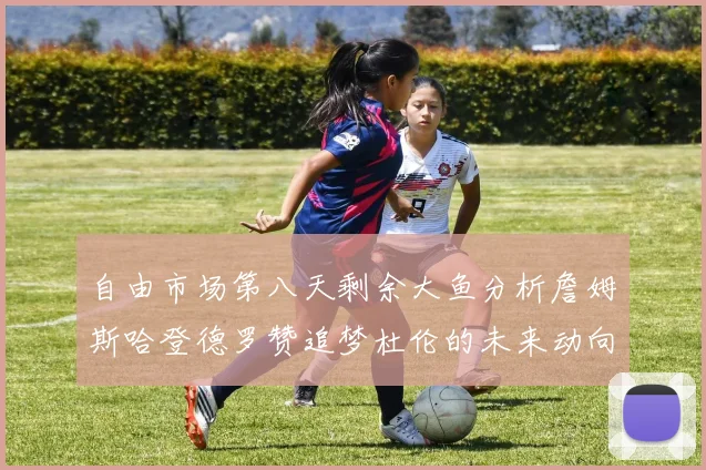 自由市场第八天剩余大鱼分析詹姆斯哈登德罗赞追梦杜伦的未来动向