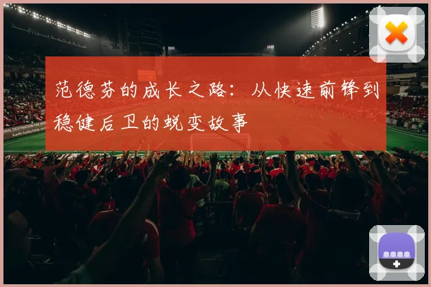 范德芬的成长之路：从快速前锋到稳健后卫的蜕变故事